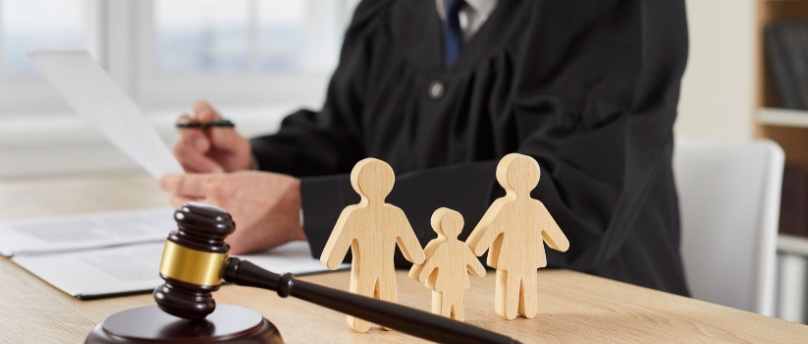 Process for Determining Custody